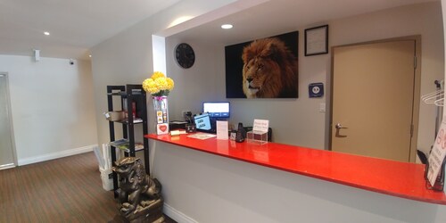 The Lion Inn & Suites