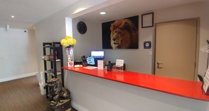 The Lion Inn & Suites