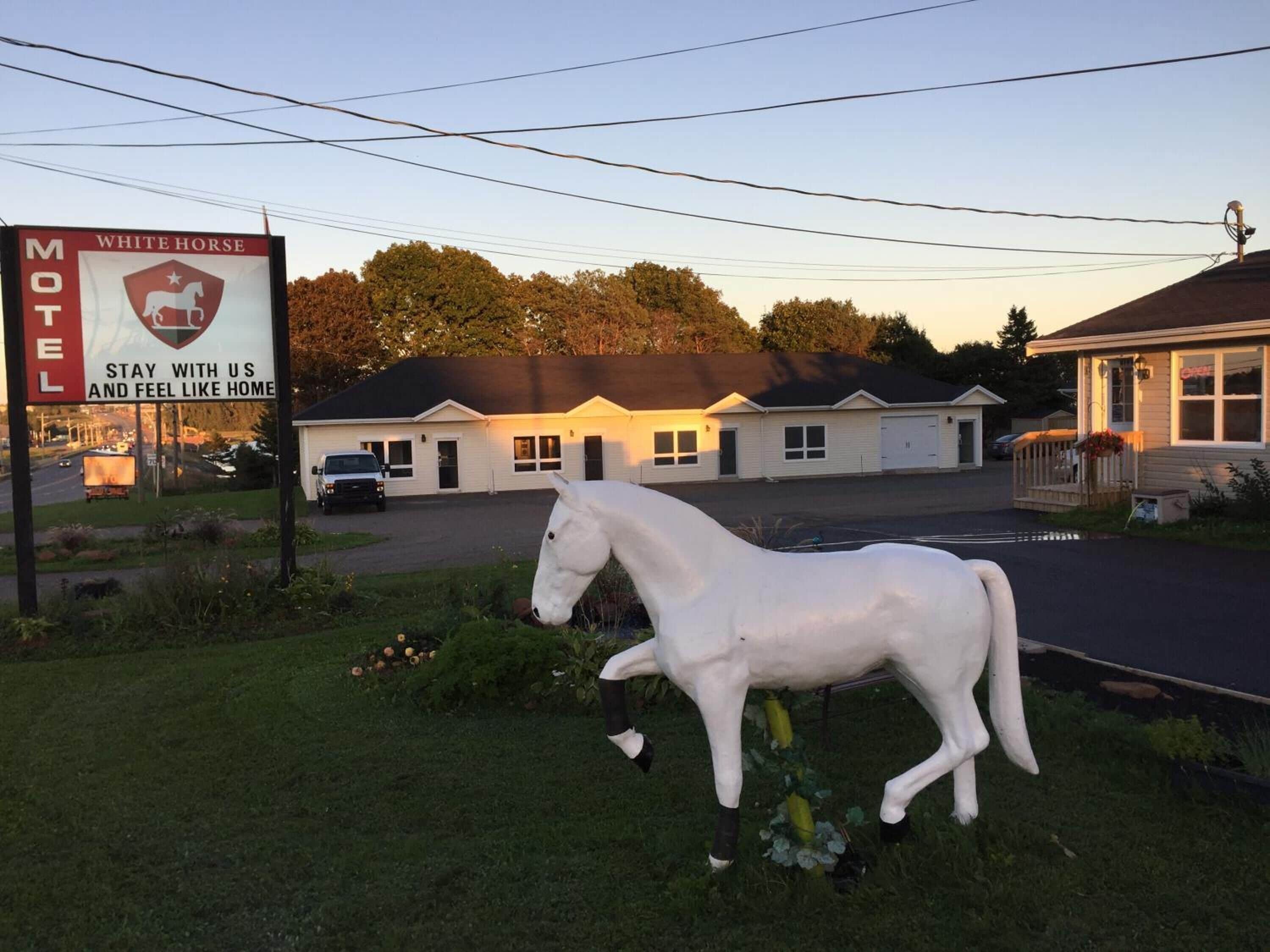 A motel with a white horse statue in front, a signboard with 'WHITE HORSE' and 'STAY WITH US AND FEEL LIKE HOME' text, and a building with a dark roof and white siding.