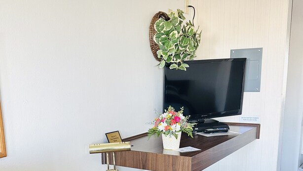 Une chambre d’hôtel de taille modeste, dotée d’un bureau en bois, d’une télévision, d’une plante et d’un banc.