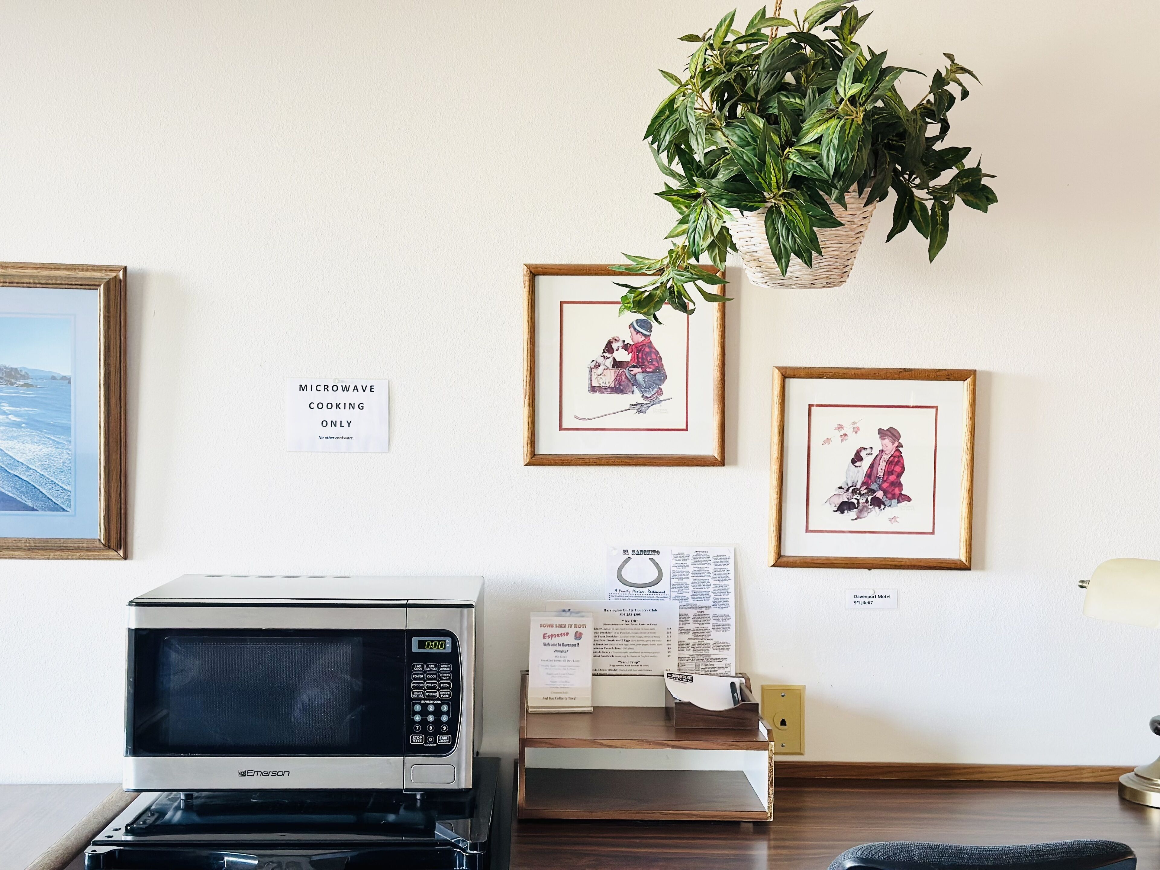 A microwave oven, a framed picture, a sign, and a plant on a wall.