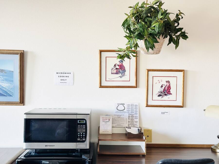 A microwave oven, a framed picture, a sign, and a plant on a wall.