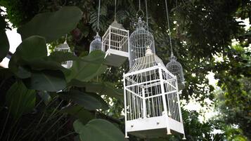 White birdcages hanging amidst lush green foliage.