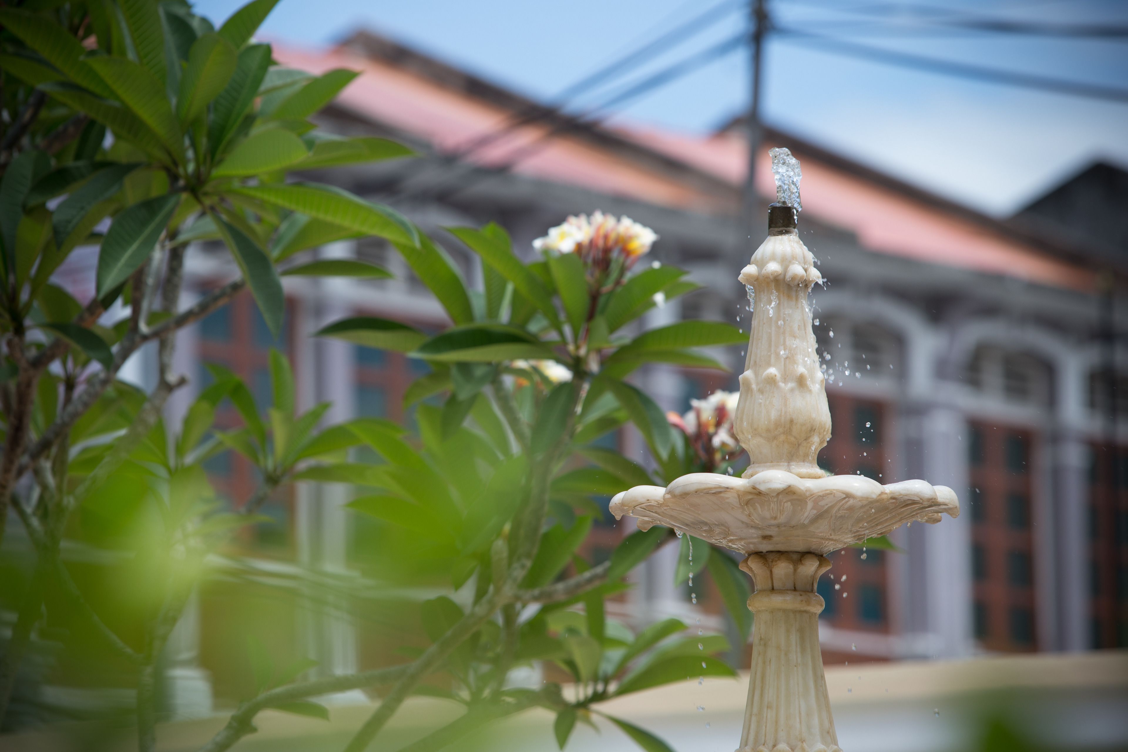 A fountain with water spouting from the top, surrounded by green foliage and a building with a red roof in the background.