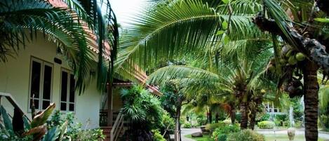 Escritorio y wifi gratis