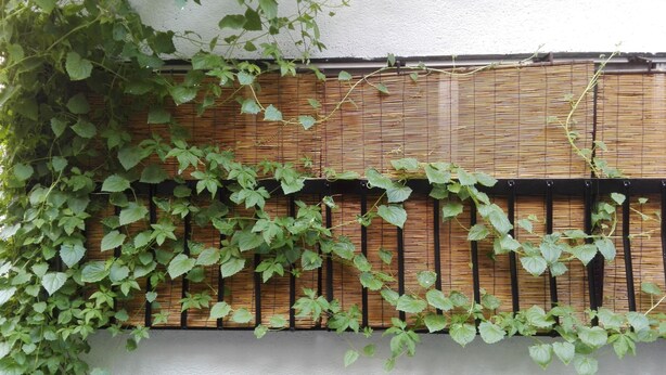 Exterior - Serendipity@Kyoto (Kyoto)