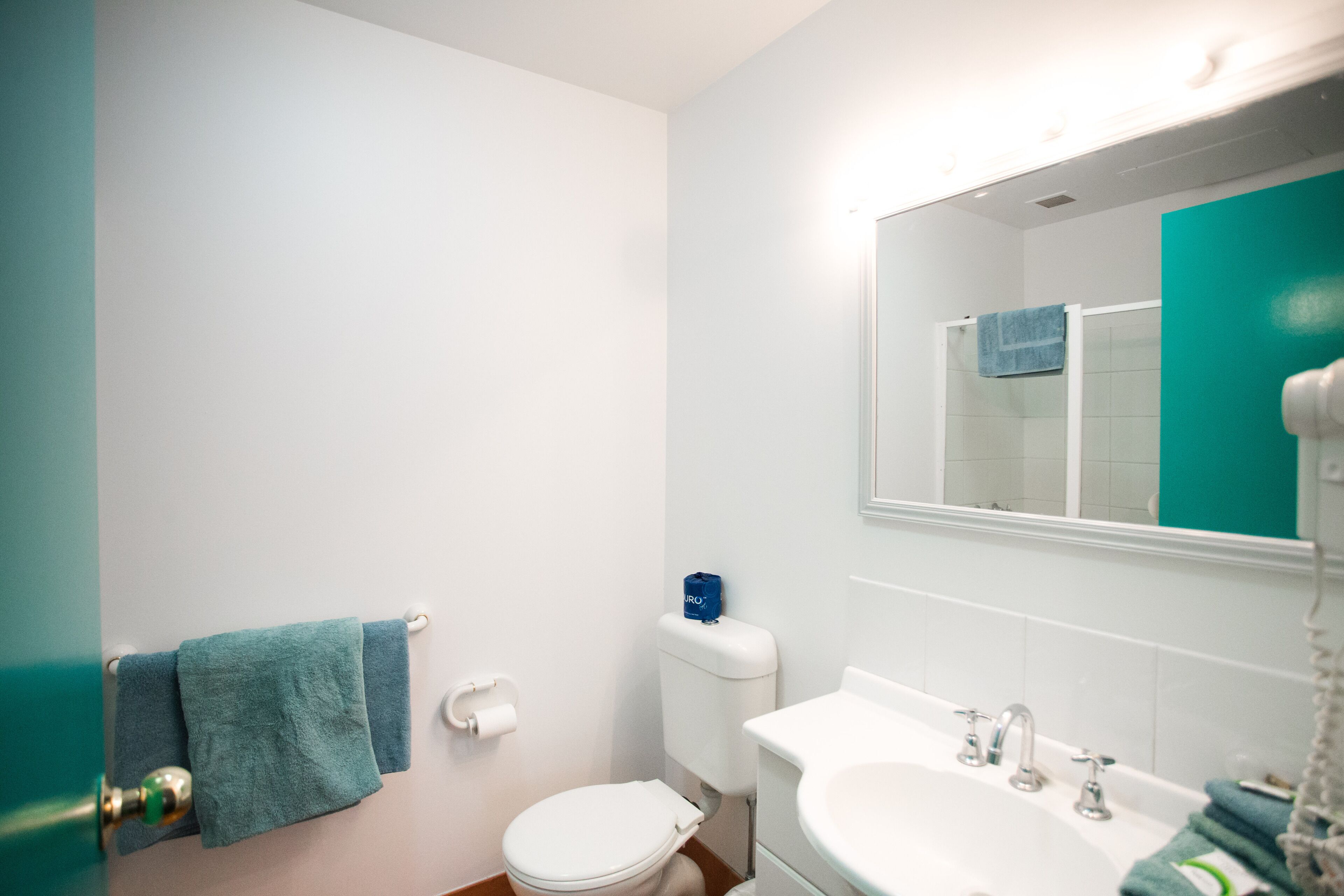 Une salle de bain avec des toilettes, un lavabo et un miroir.