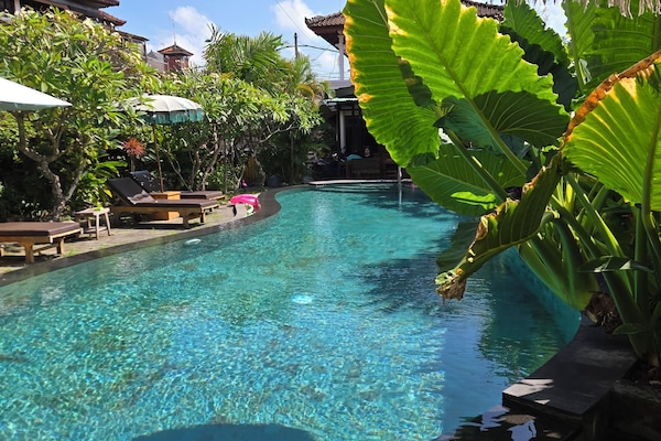 Outdoor pool, open 7:00 AM to 8:00 PM, pool umbrellas, sun loungers