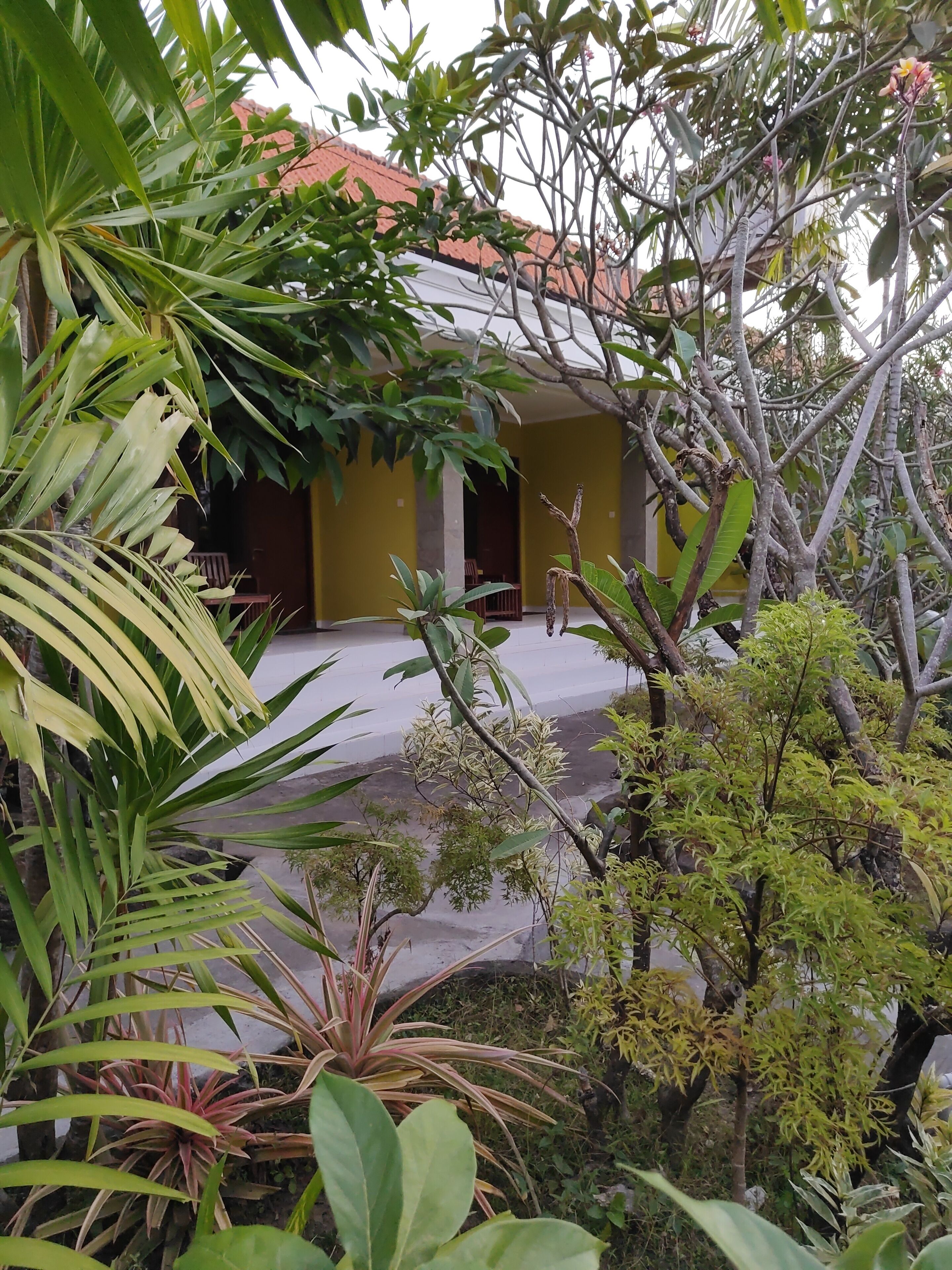 Foto - Berlian Inn Kuta Beach