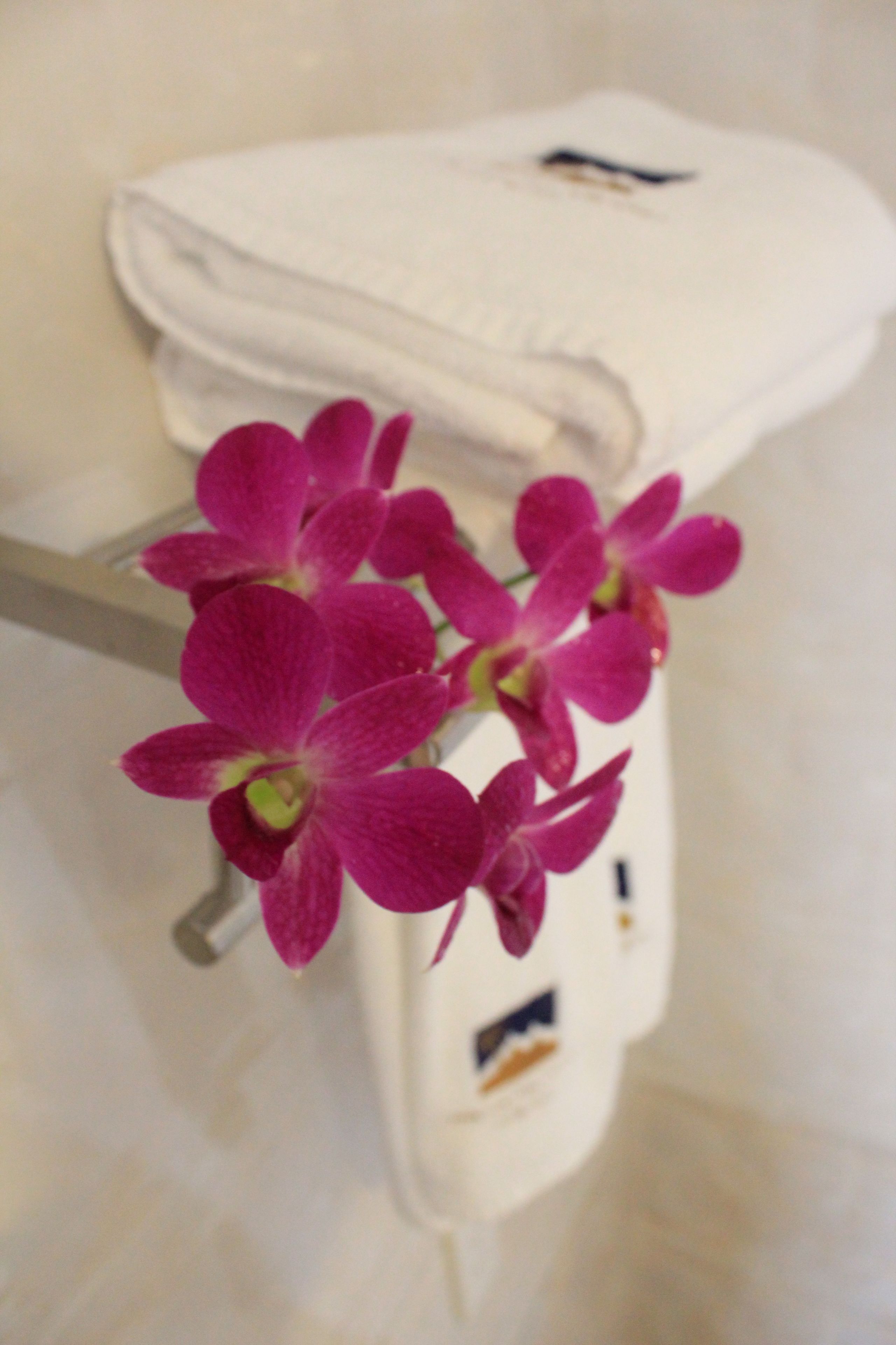 shower, free toiletries, hair dryer, slippers