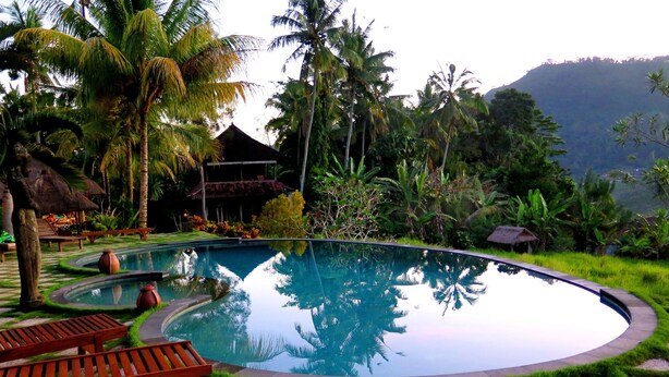 A swimming pool surrounded by tropical vegetation, with lounge chairs and a thatched-roof structure. - Villa Lihat Sawah (Sidemen)