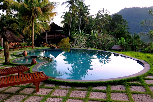 Outdoor pool, an infinity pool, open open 24 hours a day, pool loungers