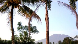 A tropical landscape with palm trees, a mountain in the background, and a small hut. - Villa Lihat Sawah (Sidemen)