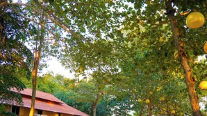 Beach Front Family | วิวจากห้องพัก