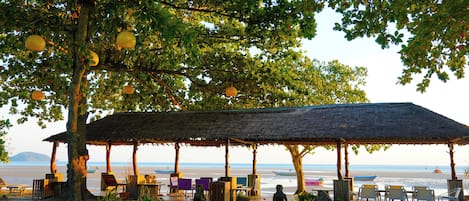 A beachside outdoor seating area with a thatched roof, surrounded by potted plants and chairs, overlooking the sea.