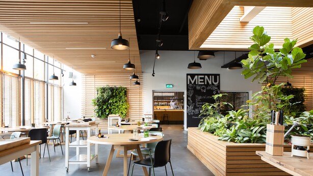 Una cafetería moderna con mesas y sillas de madera, un panel de menú y plantas de interior.
