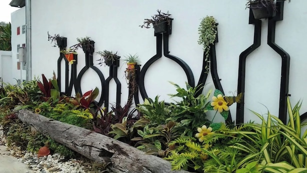 Pared blanca con jardineras negras de formas abstractas que albergan diversas plantas.