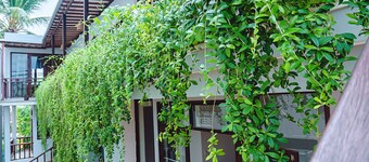 Riverside Plum Garden Homestay
