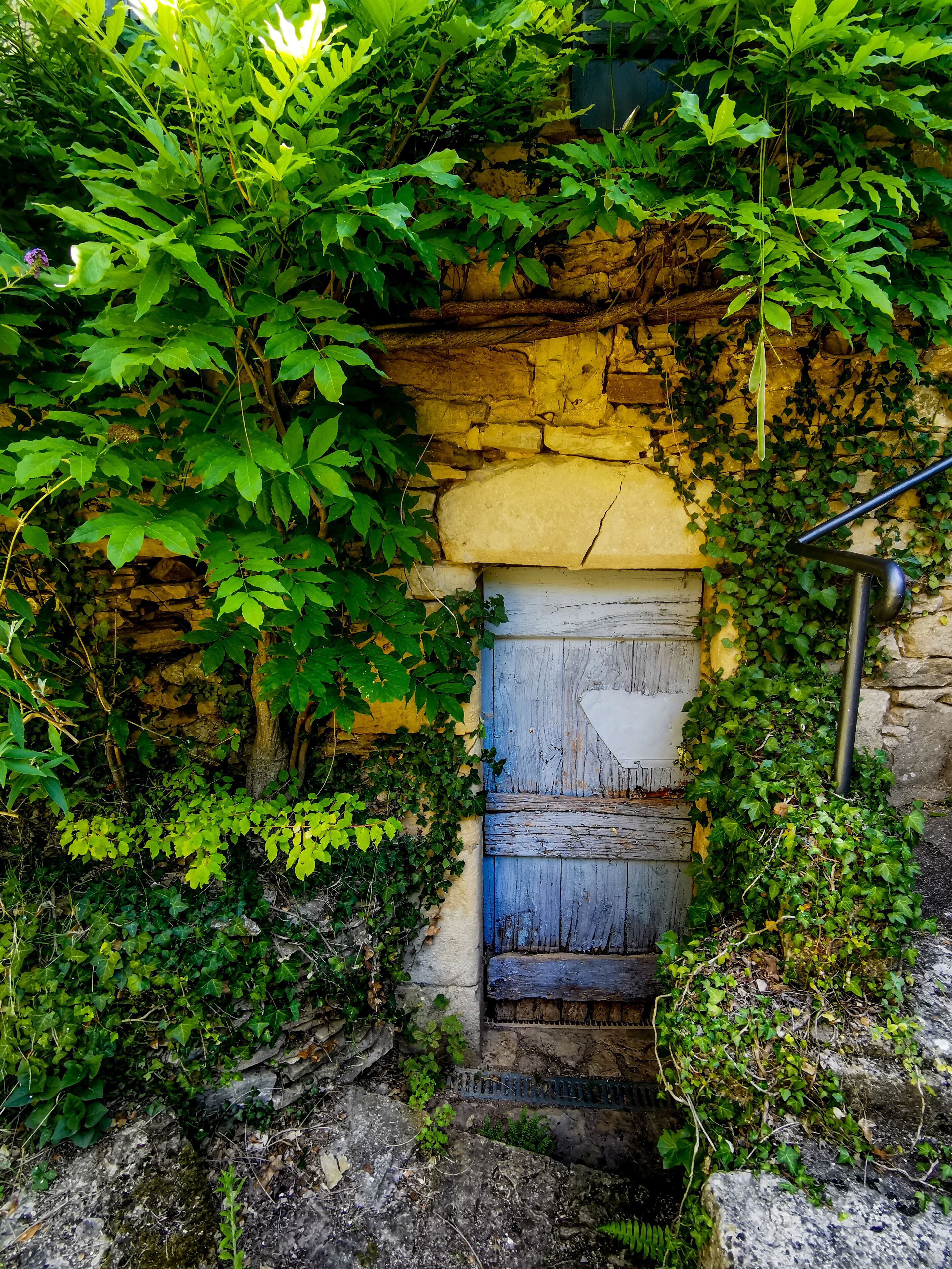 A rustic stone wall with a wooden door partially covered by foliage.