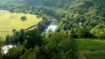 A vineyard with rows of grapevines, a river, and a house in the background.
