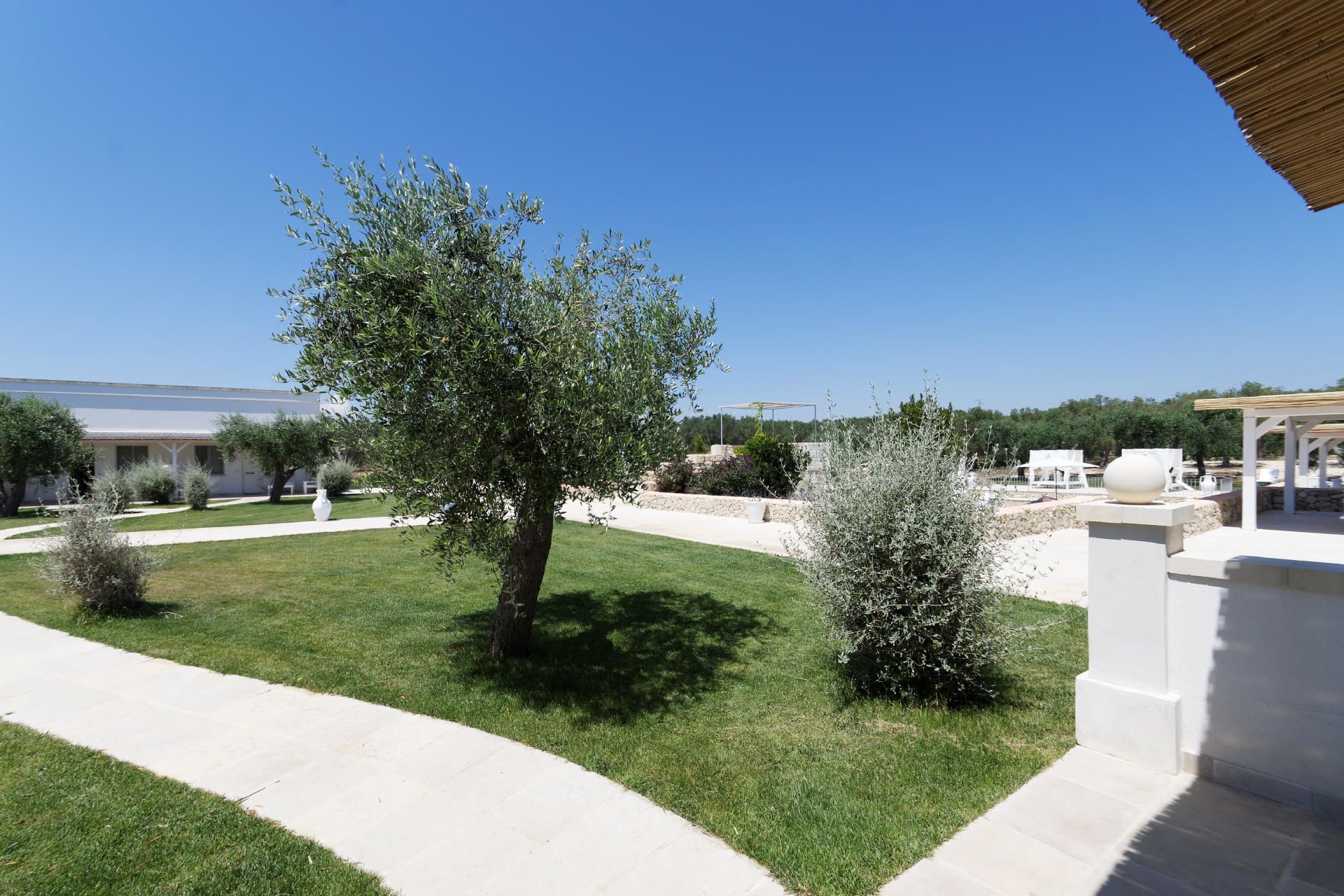 A landscaped garden with a pathway, a pergola, and a white building in the background.
