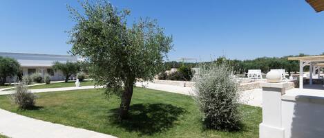 A landscaped garden with a pathway, a pergola, and a white building in the background.