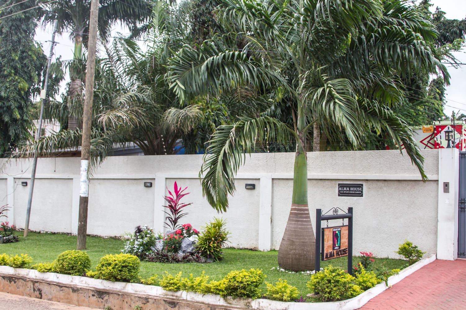 Zona enjardinada amb una palmera, una paret amb un rètol que diu "ALMA HOUSE" i un petit jardí amb diverses plantes.