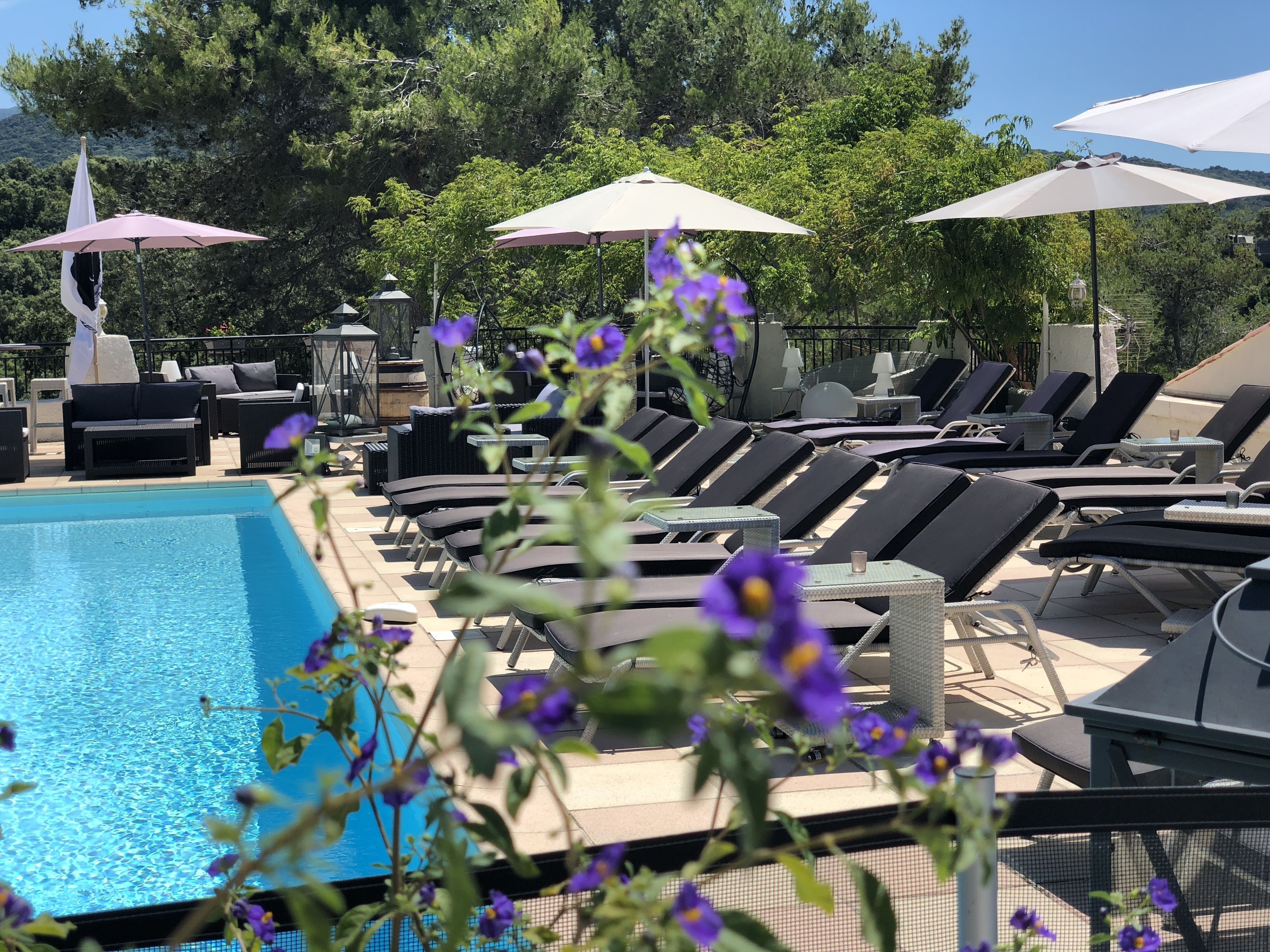 seasonal outdoor pool, open 9:00 am to 7:00 pm, pool umbrellas