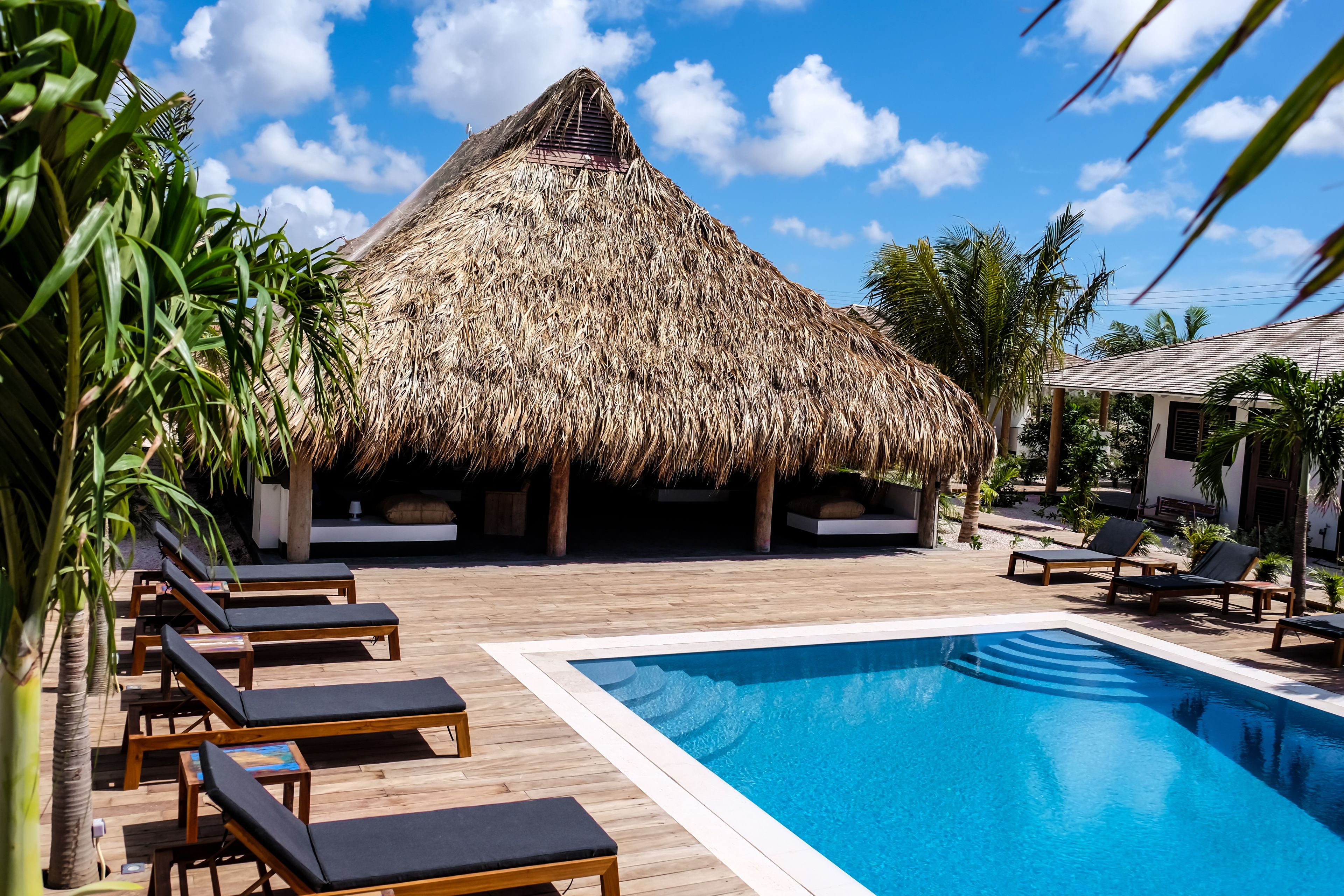 Outdoor pool, pool loungers