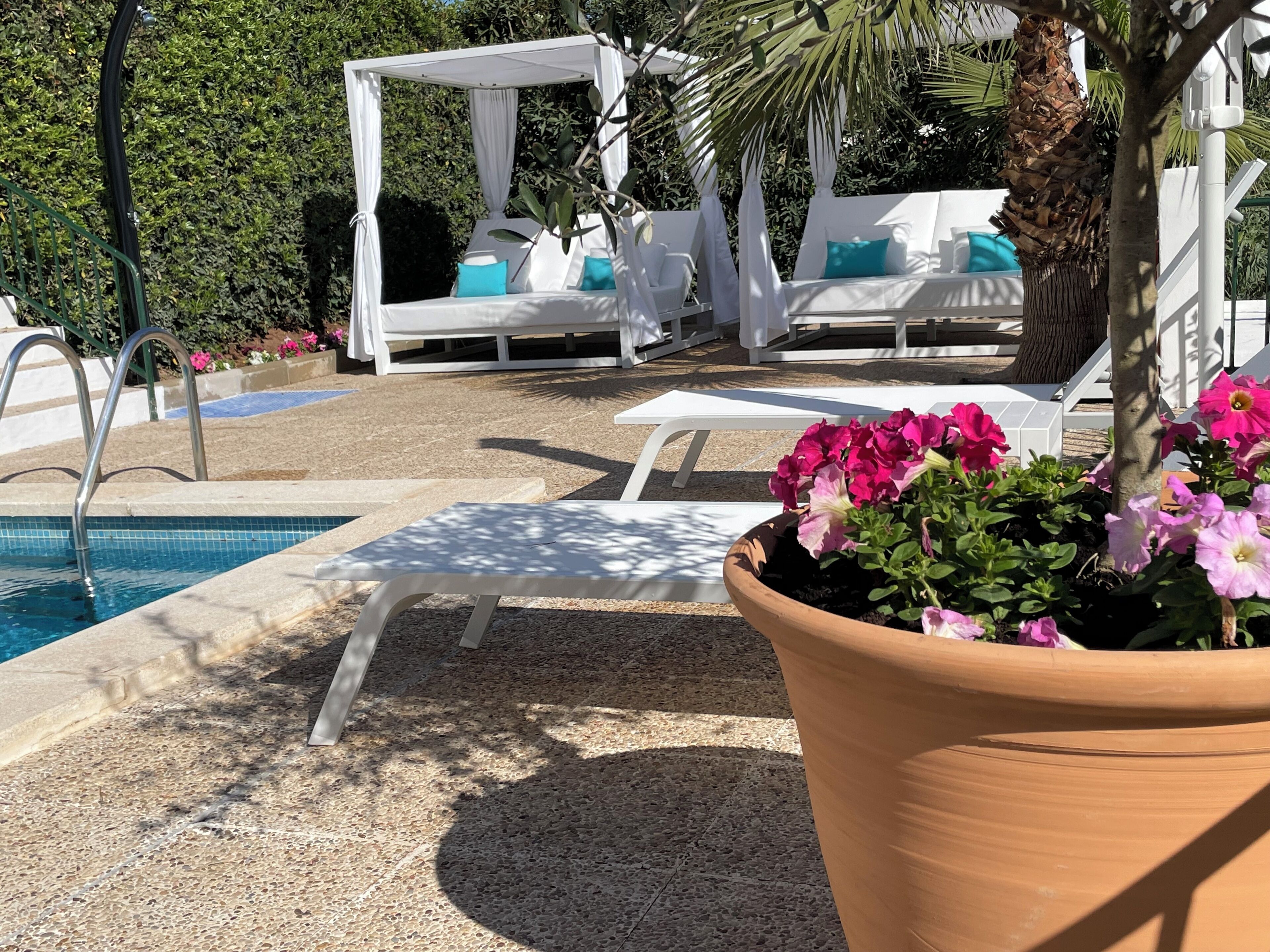 A poolside area with lounge chairs, a white canopy, and a potted plant with pink flowers.