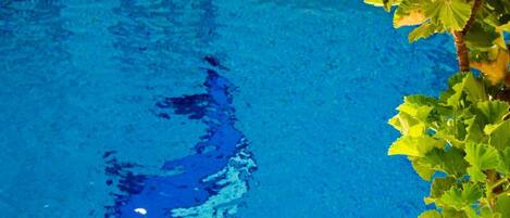 Utomhuspool, parasoller och solstolar