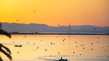 A sunset over a calm body of water with boats and birds.