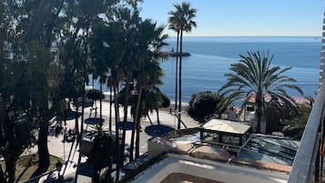 Beach/ocean view