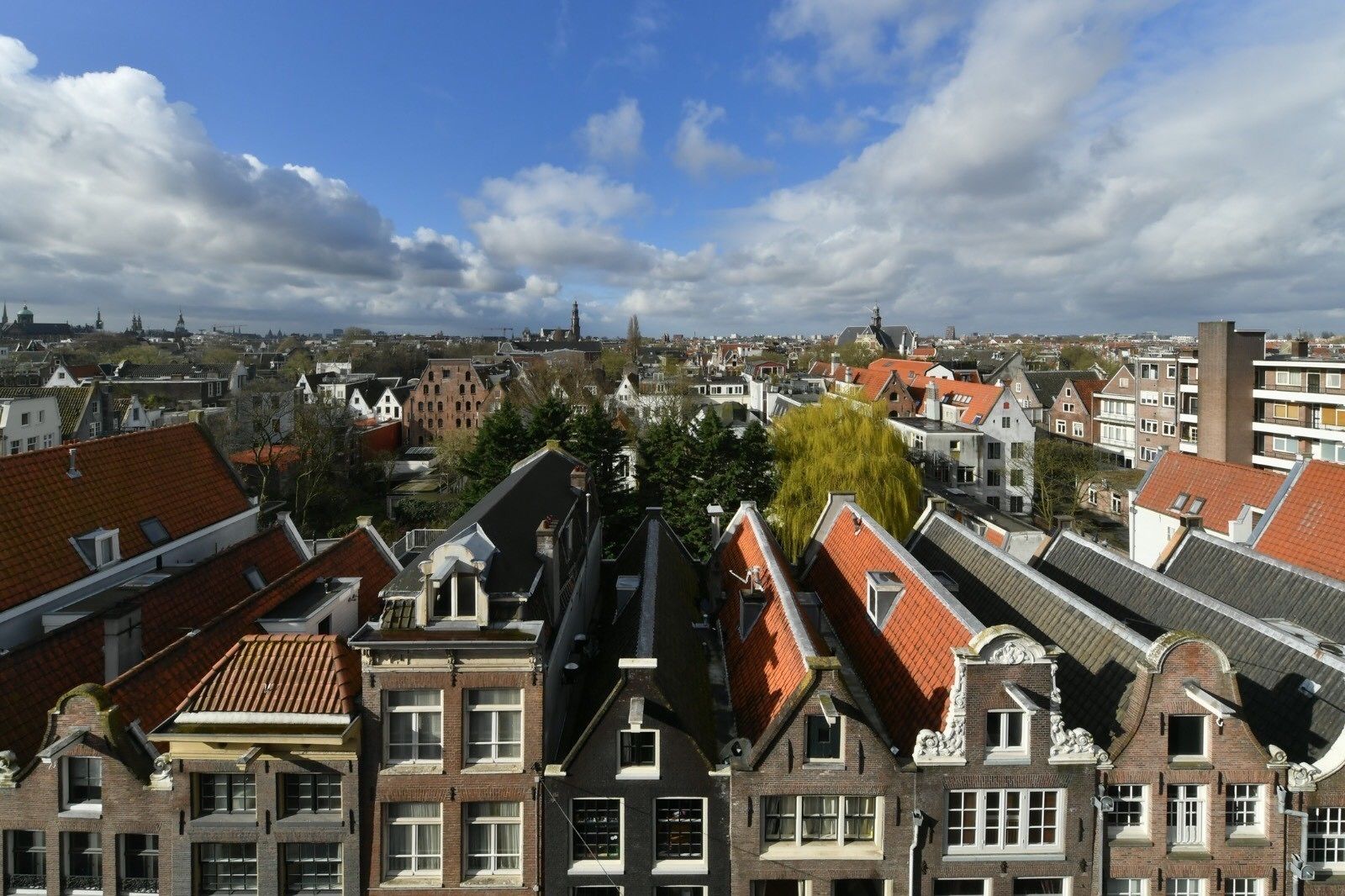 Foto - The Bank Hotel