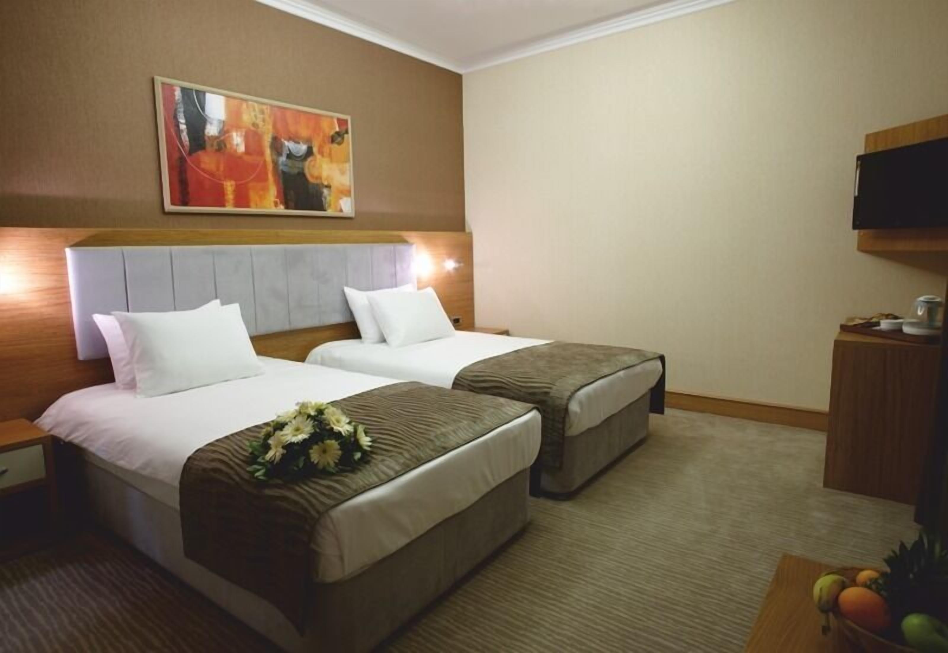 executive double or twin room | minibar, in-room safe, individually decorated, desk