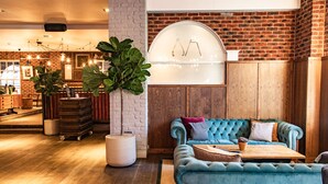 Een gezellige zithoek met een comfortabele blauwe bank, een grote potplant en een houten salontafel.