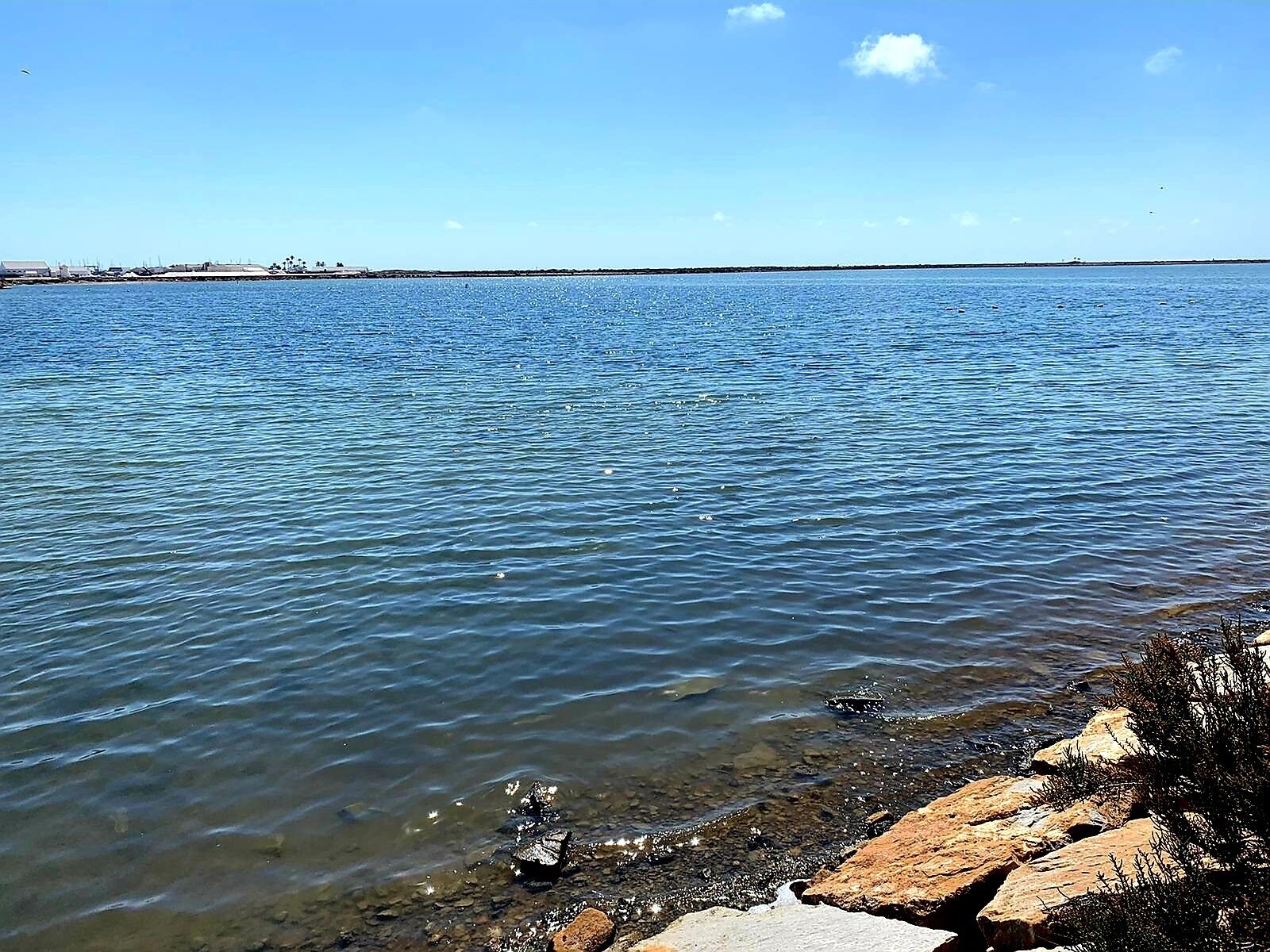 Une vue sur la côte, avec une eau bleue et limpide, un rivage rocheux et des bâtiments situés au loin.