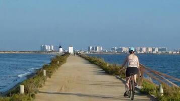 A paved path alongside a body of water with a cityscape in the background.