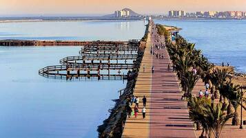 Un paseo marítimo con un camino de madera, palmeras y un horizonte urbano a lo lejos.