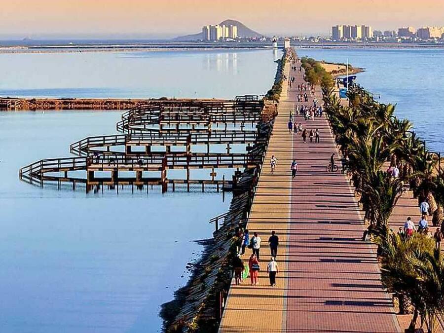 Un paseo marítimo con un camino de madera, palmeras y un horizonte urbano a lo lejos.