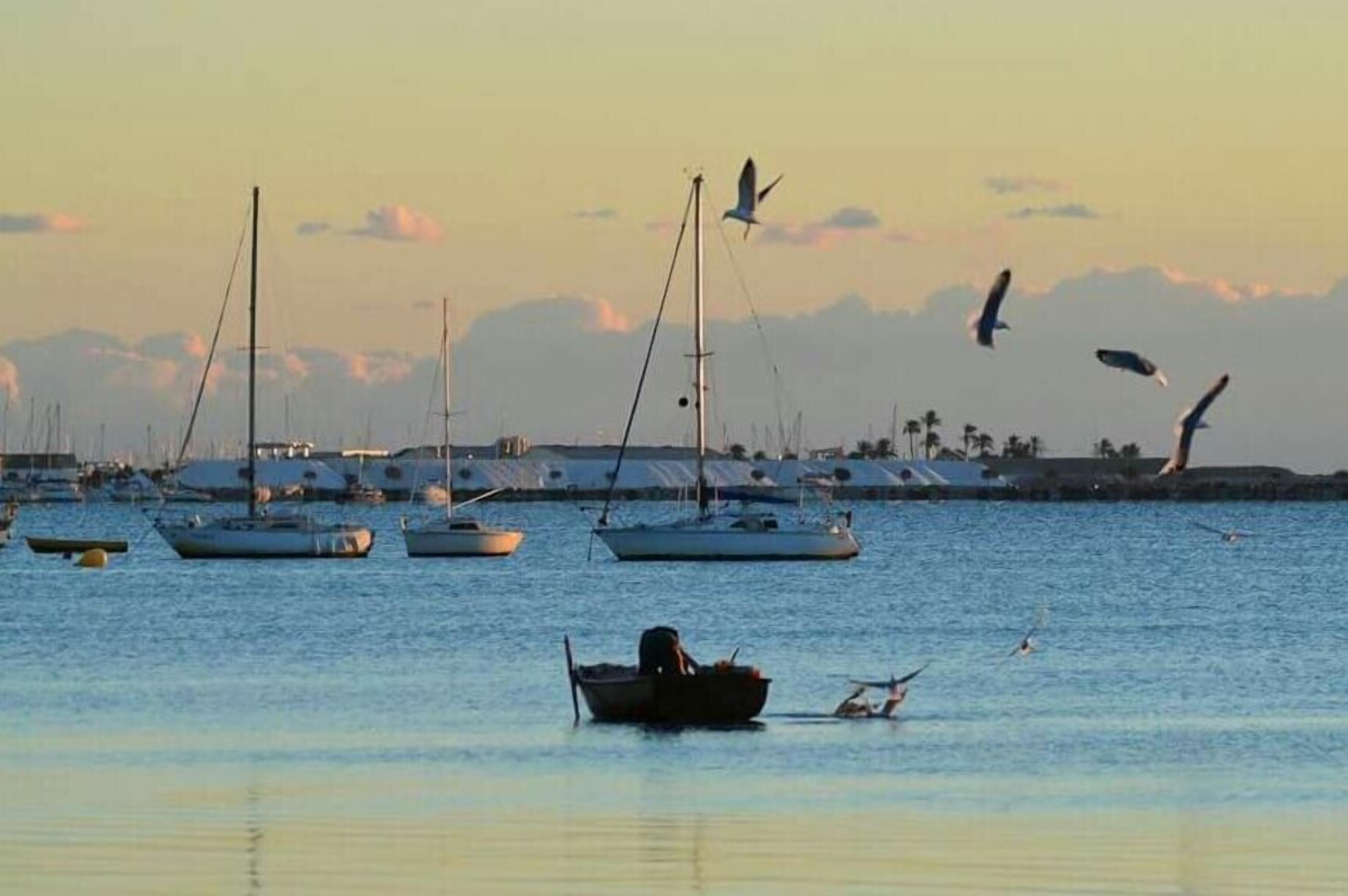 A marina with several sailboats docked and a few birds flying over the water.