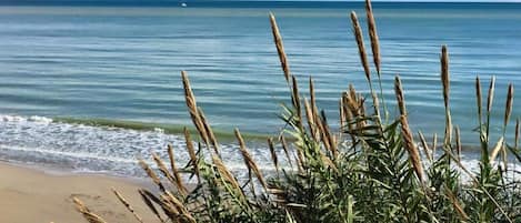 In Strandnähe, 2 Strandbars