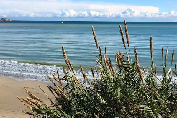 Una spiaggia nelle vicinanze, 2 bar sulla spiaggia