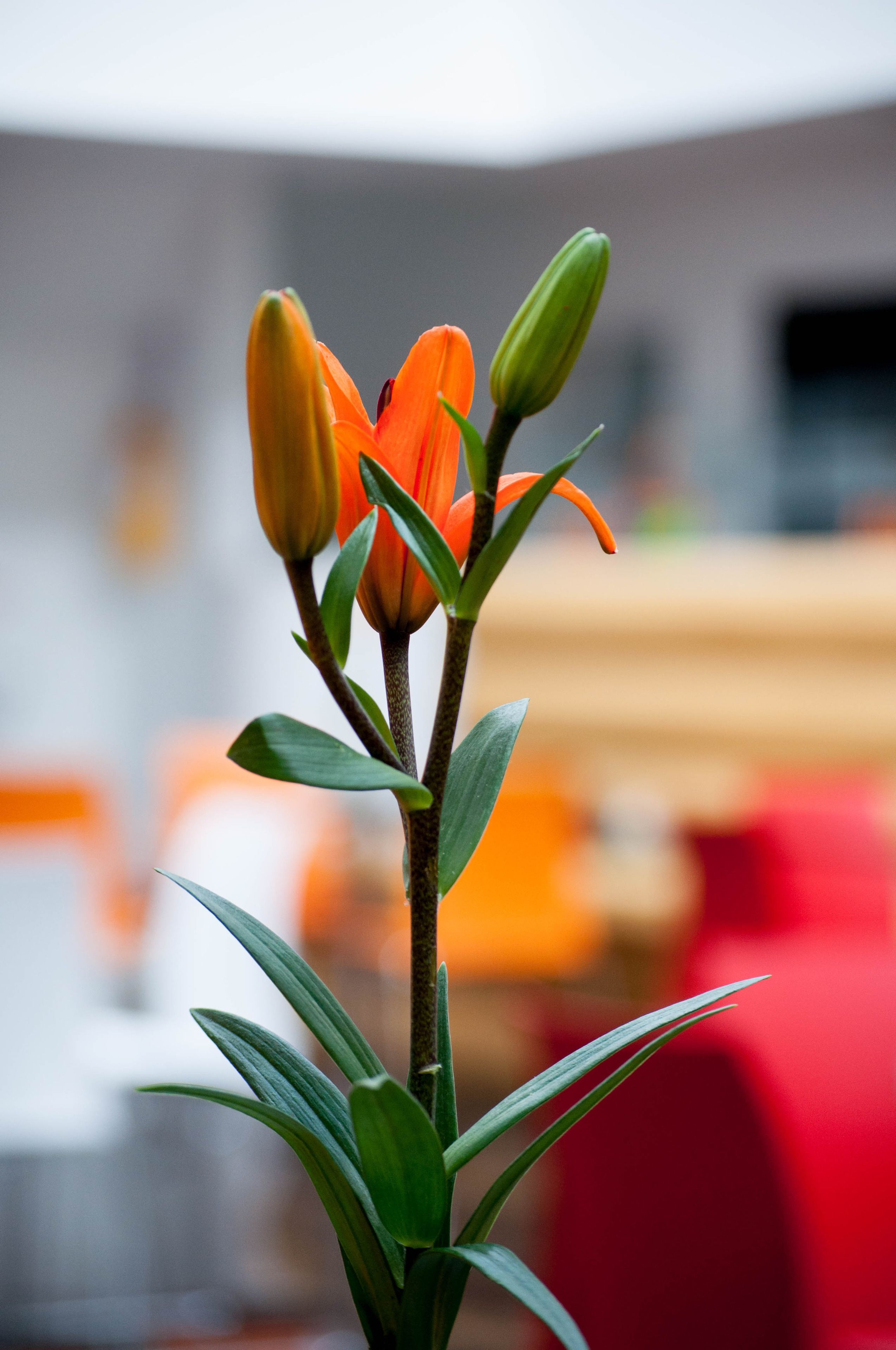 Photo - Hotel Ferias Park