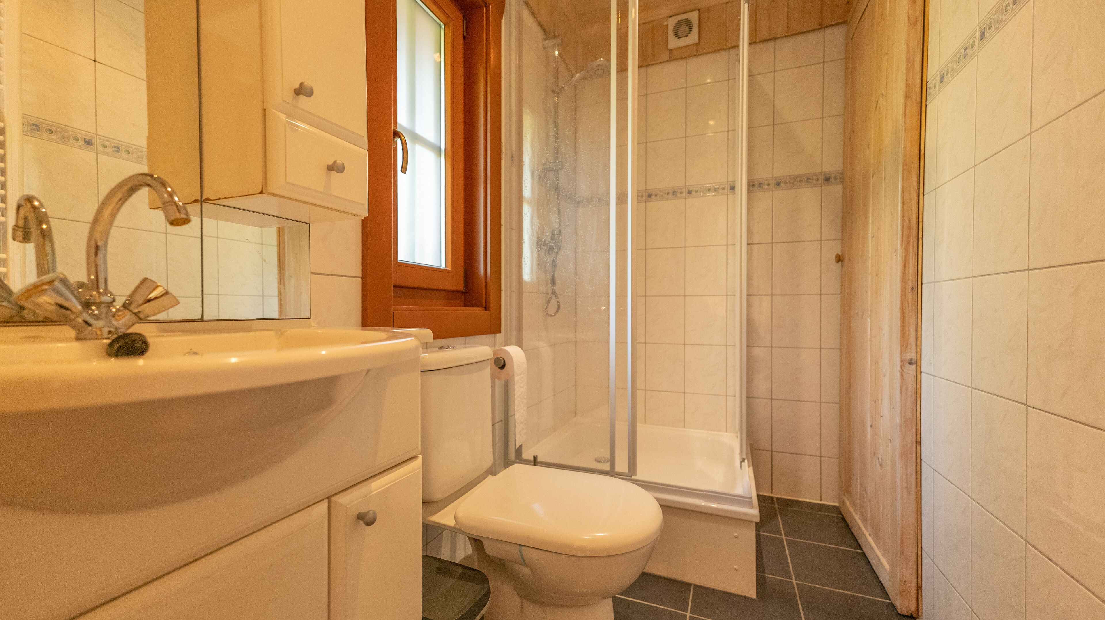 Une salle de bain avec un lavabo, des toilettes et une douche.