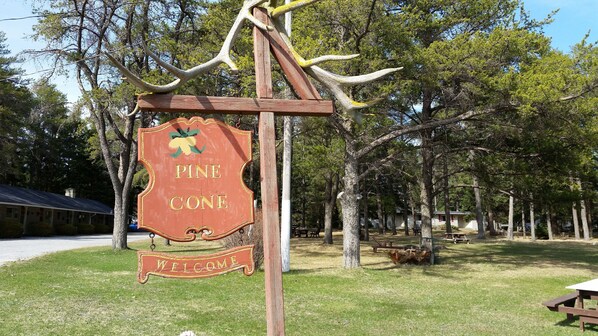Property grounds - Pine cone Motel (Penobsquis)