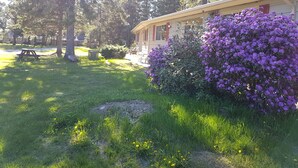 A residential area with a house, a picnic table, and a bush with purple flowers. - Pine cone Motel (Penobsquis)