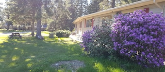 Pine cone Motel