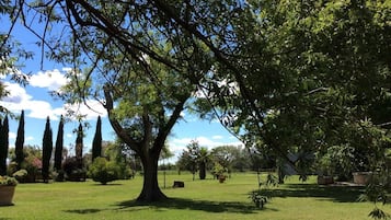Jardín