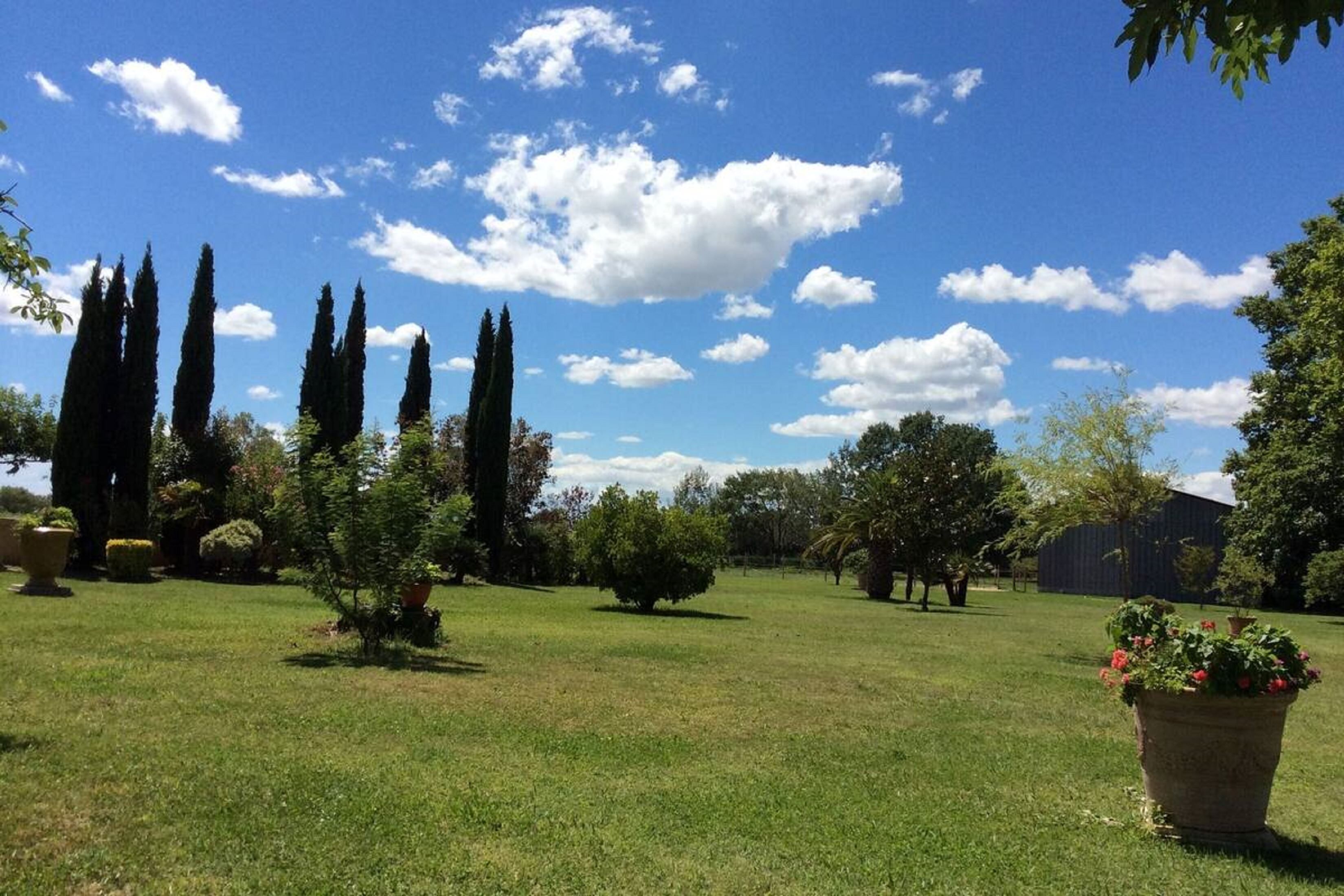 A well-maintained garden with a variety of trees, a lawn, and a large planter with flowers.